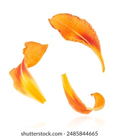 hxuqufwok